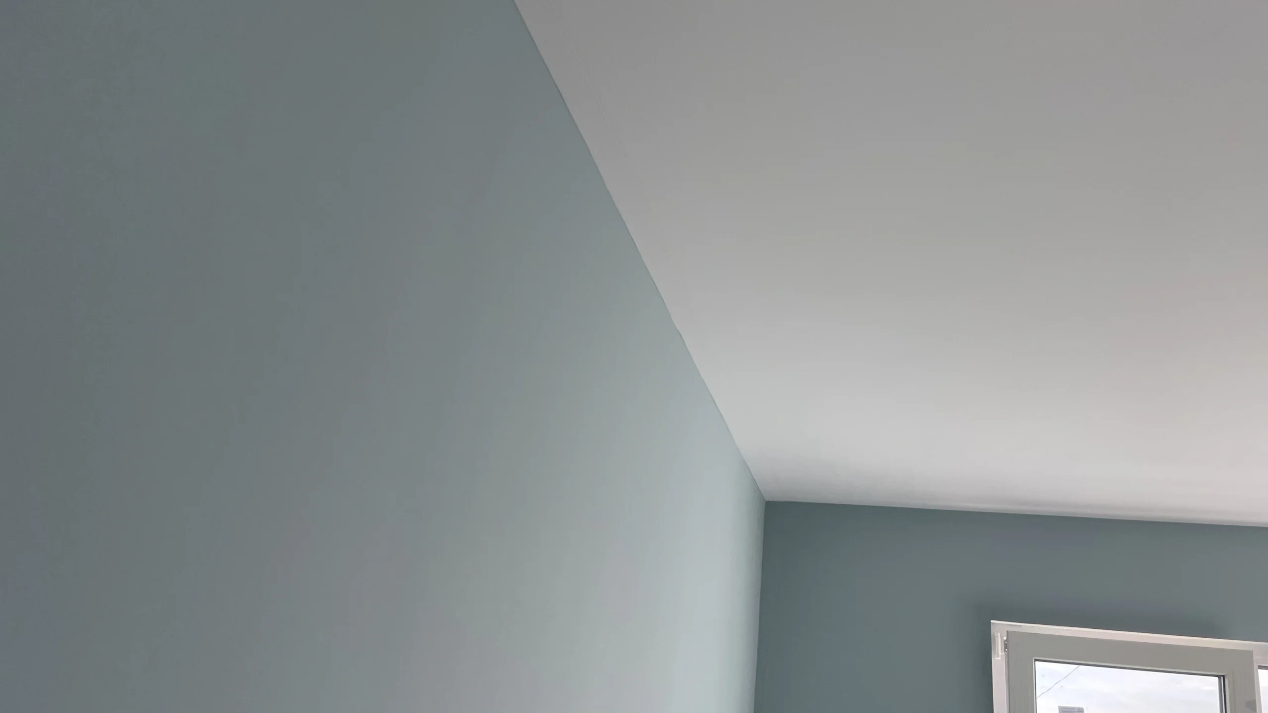FullSizeRender 113