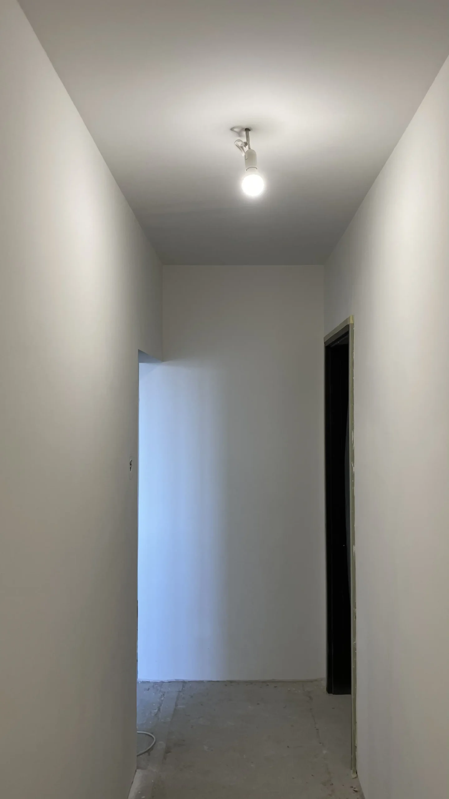 FullSizeRender 81